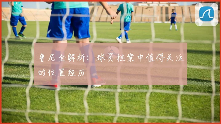 鲁尼全解析：球员档案中值得关注的位置经历