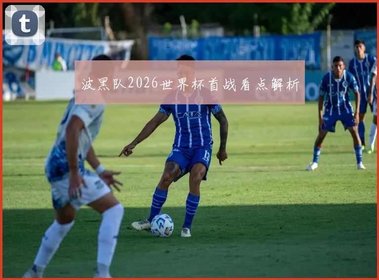 波黑队2026世界杯首战看点解析