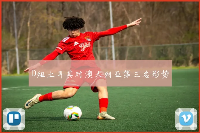 D组土耳其对澳大利亚第三名形势