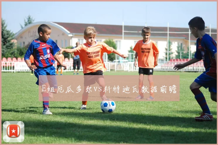 E组厄瓜多尔vs科特迪瓦数据前瞻