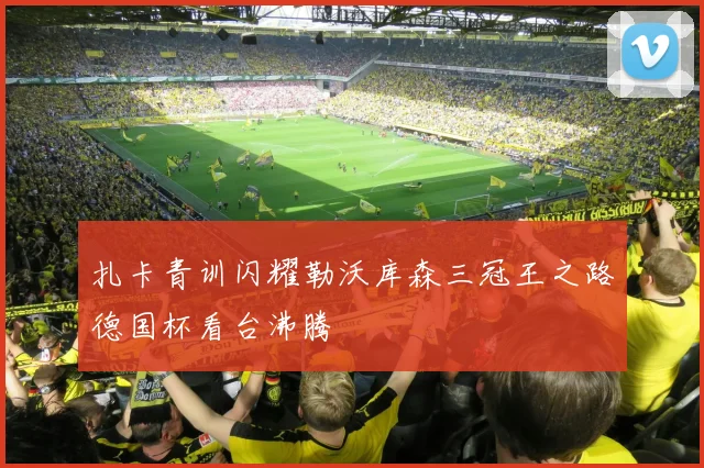 扎卡青训闪耀勒沃库森三冠王之路德国杯看台沸腾