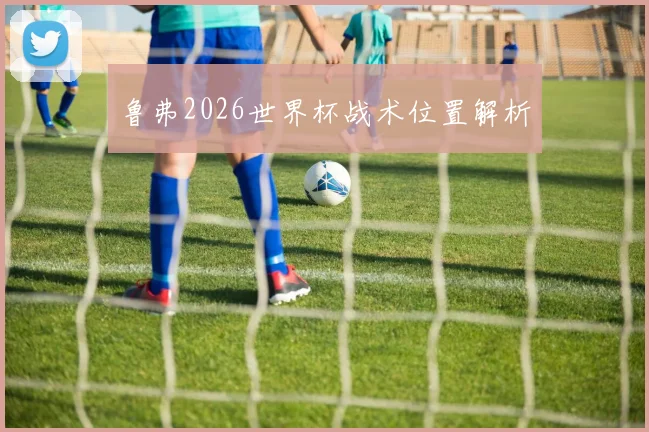 鲁弗2026世界杯战术位置解析