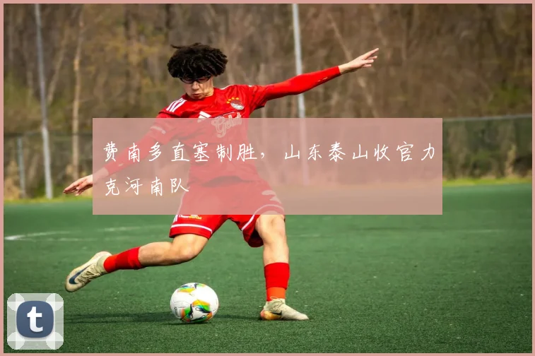 费南多直塞制胜，山东泰山收官力克河南队