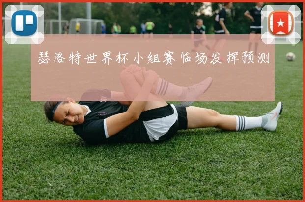 瑟洛特世界杯小组赛临场发挥预测