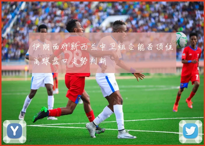 伊朗面对新西兰中卫组合能否顶住高球盘口走势判断