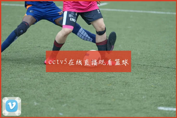 cctv5在线直播观看篮球