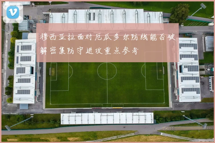 穆西亚拉面对厄瓜多尔防线能否破解密集防守进攻重点参考