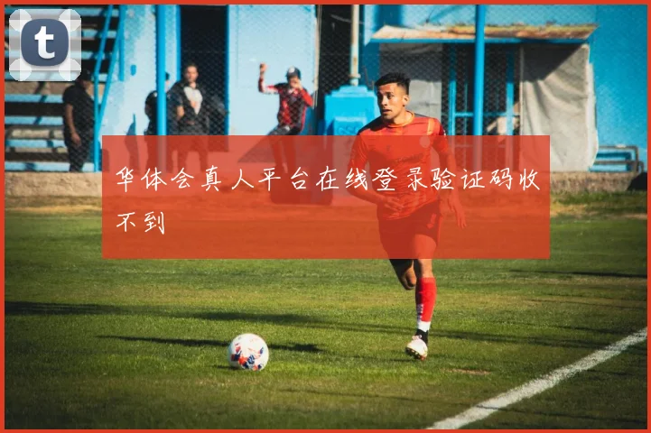 华体会真人平台在线登录验证码收不到
