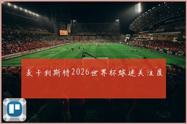 麦卡利斯特2026世界杯球迷关注度